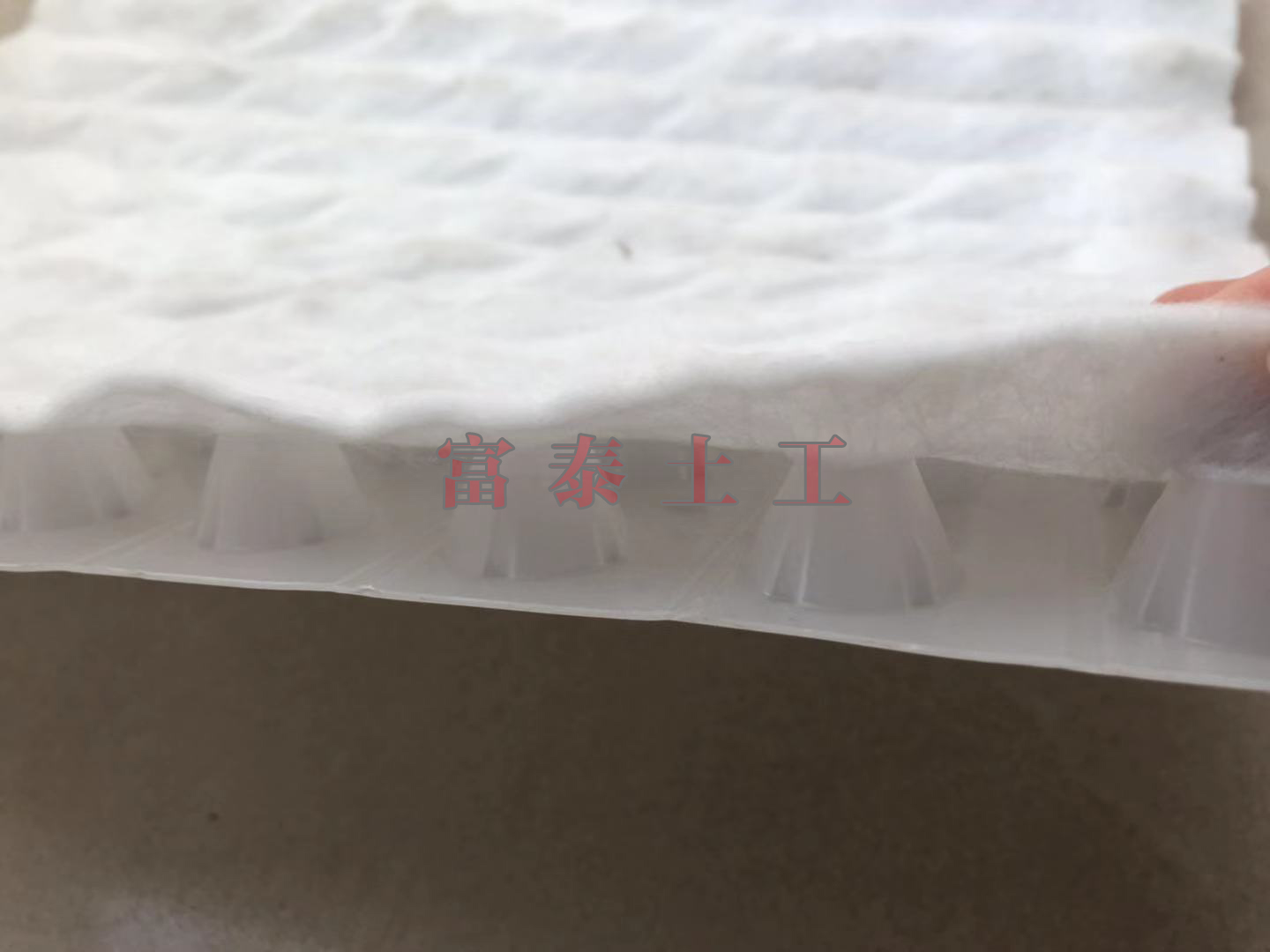 PED楂樺垎瀛愰槻鎶ゅ紓褰㈢墖.jpg PED楂樺垎瀛愰槻鎶ゅ紓褰㈢墖.jpg